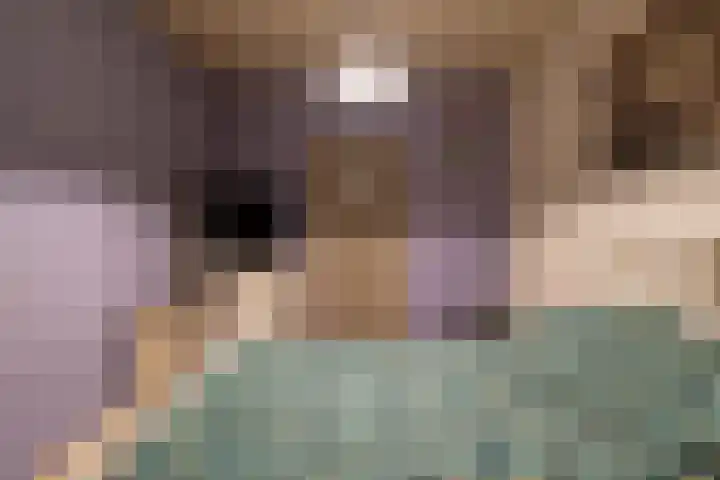 Vierbundersweg 165 30 Dongen thumbnail 19