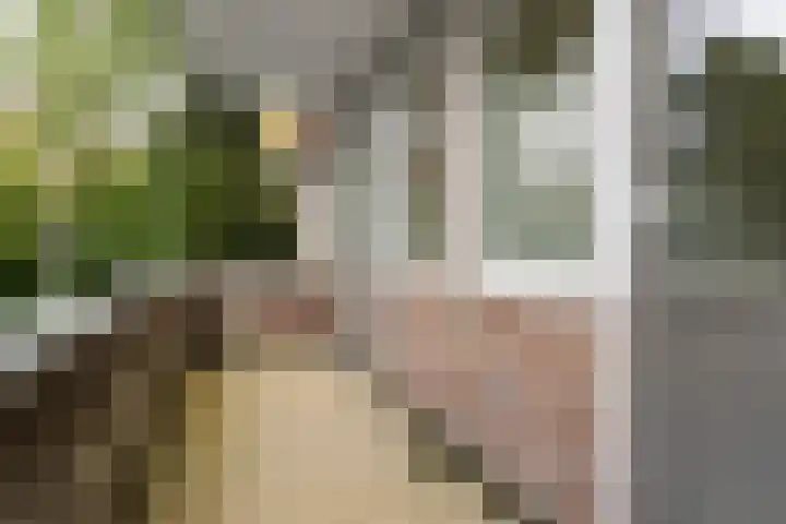 Vierbundersweg 165 30 Dongen thumbnail 24