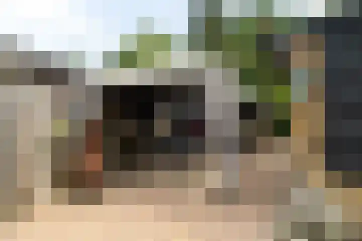 Vierbundersweg 165 30 Dongen thumbnail 5