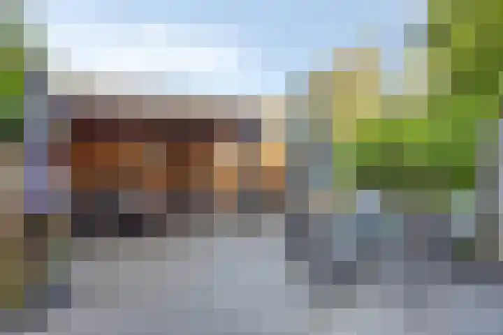 Vierde Buitenpepers 32 's-Hertogenbosch thumbnail 19