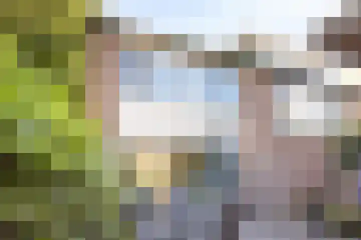 Vierde Buitenpepers 32 's-Hertogenbosch thumbnail 20