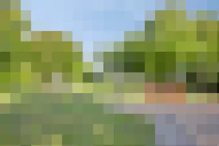 Vierde Buitenpepers 32 's-Hertogenbosch thumbnail 21