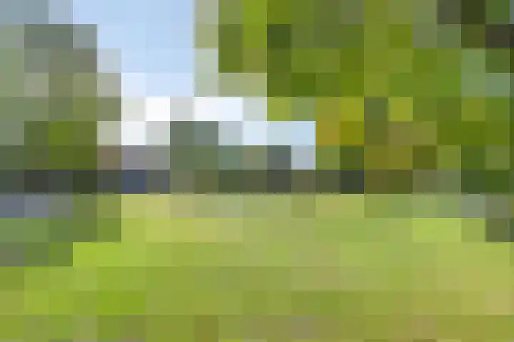 Vierde Buitenpepers 32 's-Hertogenbosch thumbnail 22
