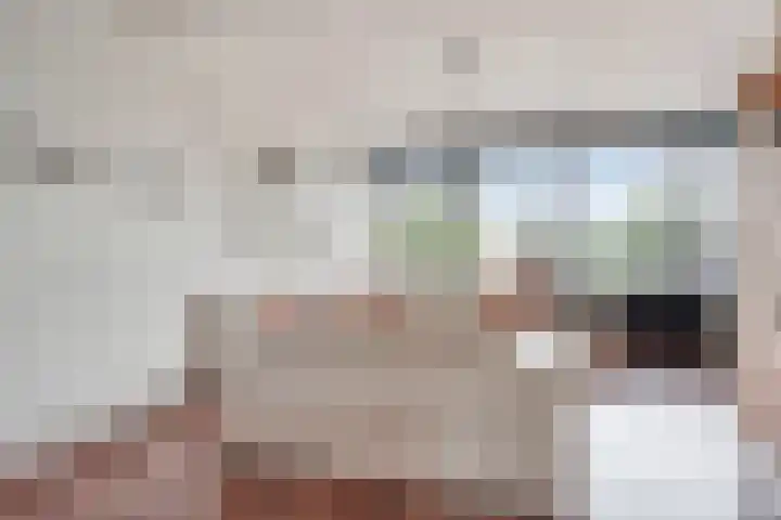 Vierde Hambaken 57 's-Hertogenbosch thumbnail 8