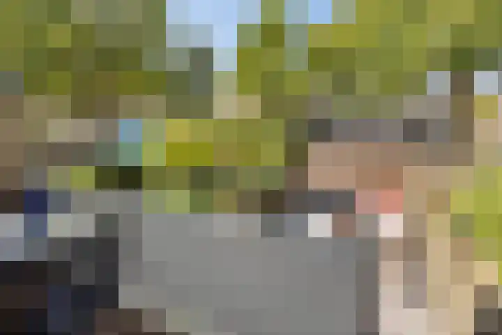 Vierde Hambaken 9 's-Hertogenbosch thumbnail 11