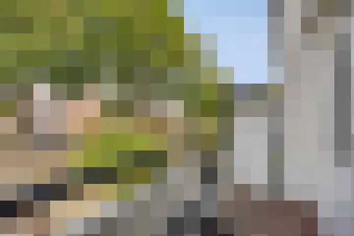 Vierde Hambaken 9 's-Hertogenbosch thumbnail 12