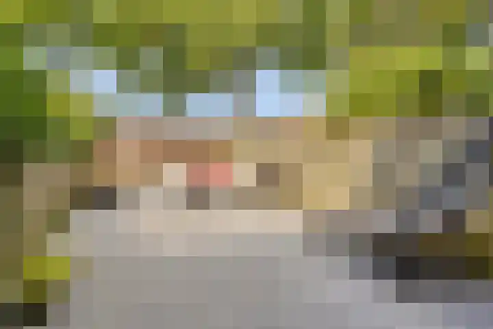 Vierde Hambaken 9 's-Hertogenbosch thumbnail 34