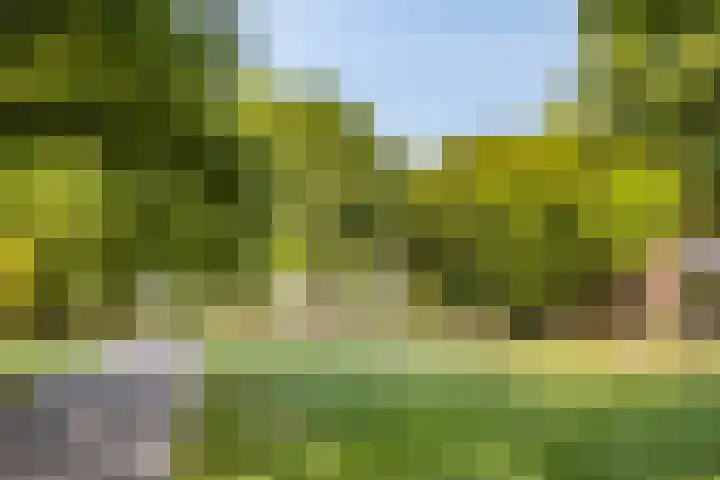 Vierde Hambaken 9 's-Hertogenbosch thumbnail 38