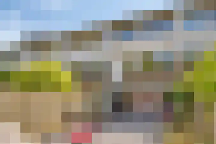 Vierde Hambaken 9 's-Hertogenbosch thumbnail 43