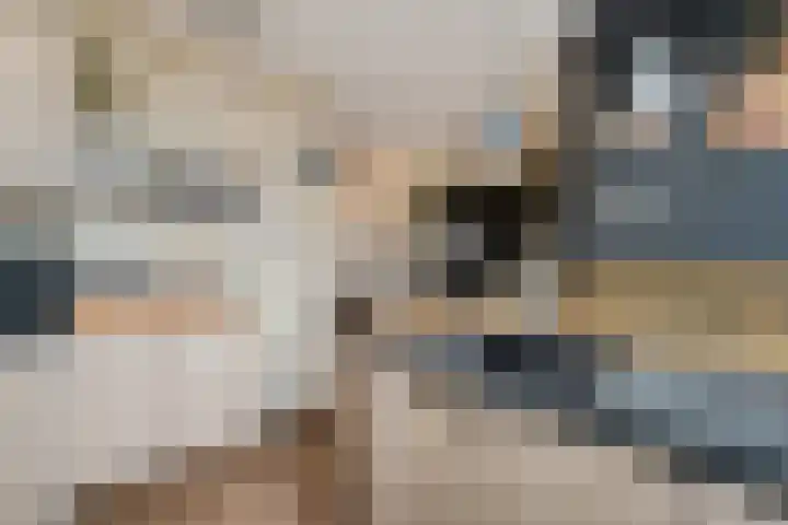 Vierde Slagen 16 's-Hertogenbosch thumbnail 13