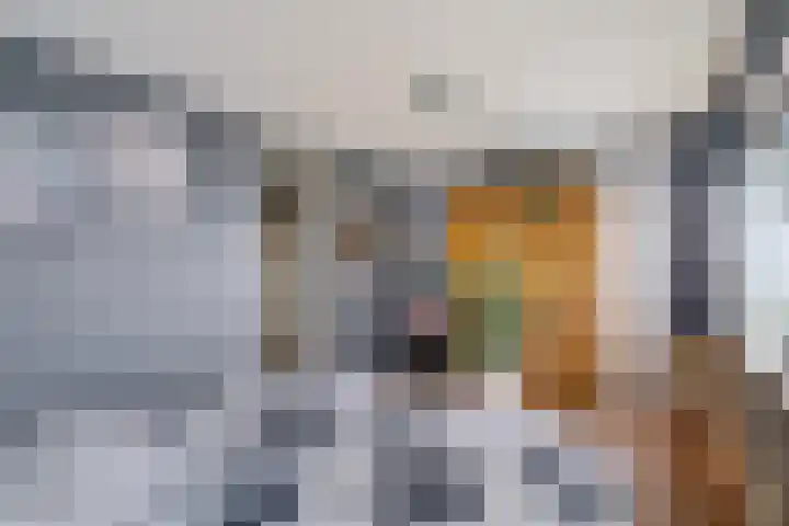 Vierde Slagen 16 's-Hertogenbosch thumbnail 23