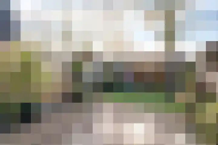 Vierde Slagen 16 's-Hertogenbosch thumbnail 25