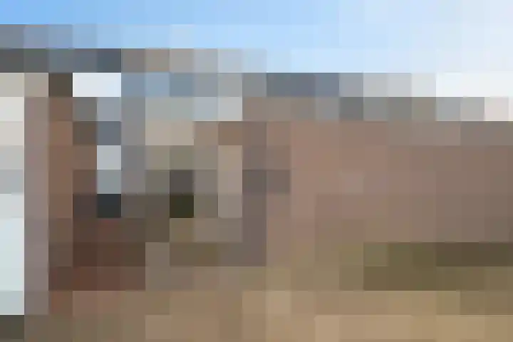 Vierde Slagen 16 's-Hertogenbosch thumbnail 28