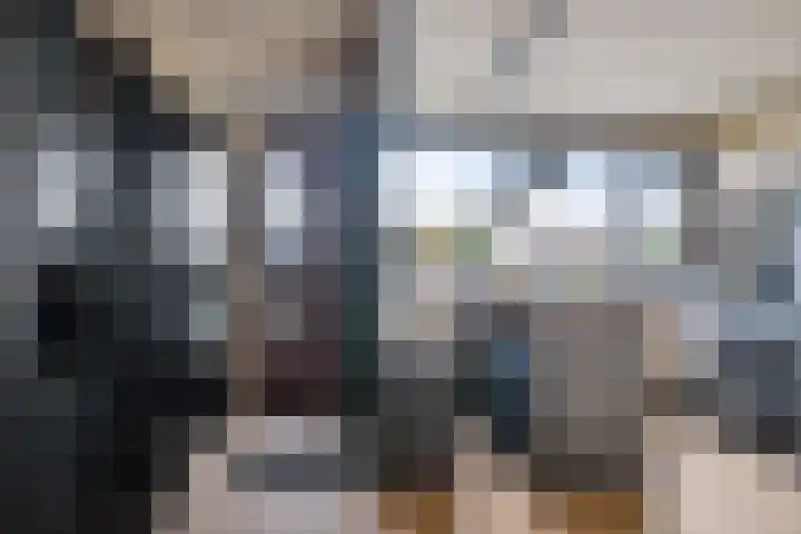 Vierde Slagen 16 's-Hertogenbosch thumbnail 4