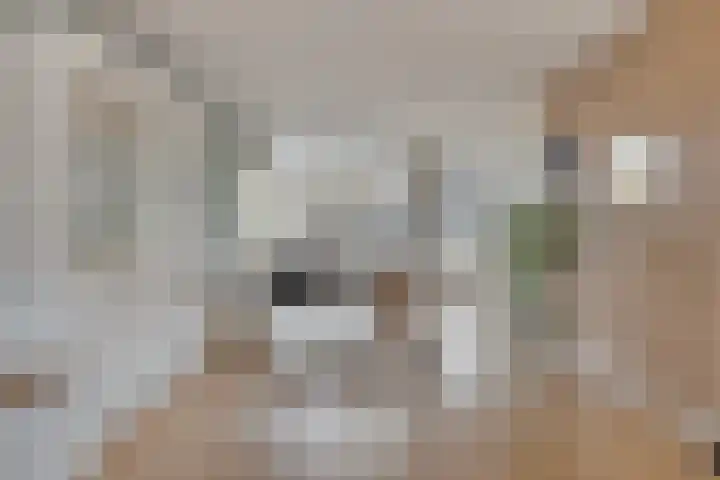 Vierhoven 11 Terheijden thumbnail 13