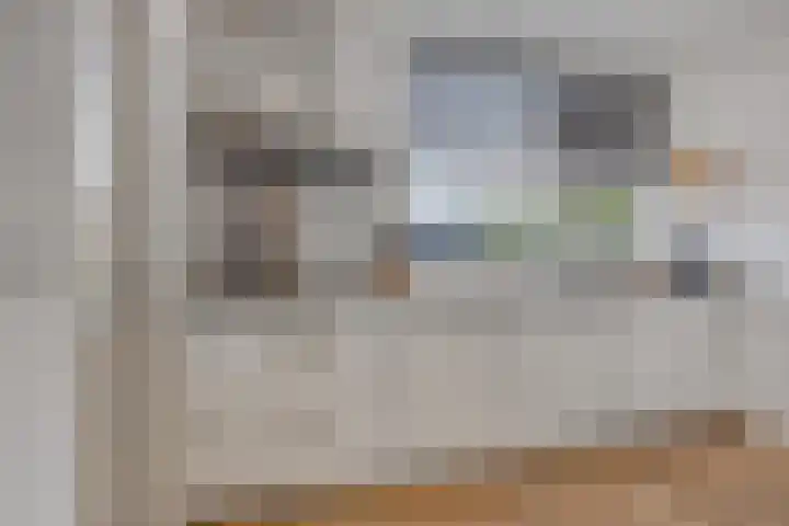Vierhoven 11 Terheijden thumbnail 19