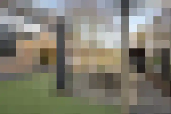 Vierhoven 11 Terheijden thumbnail 40