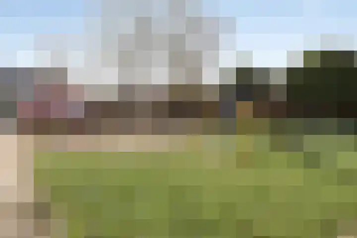 Vierhoven 11 Terheijden thumbnail 45