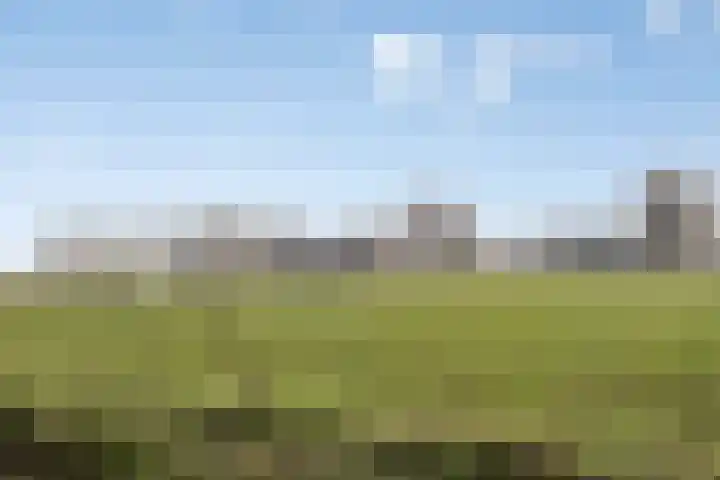 Vierhoven 11 Terheijden thumbnail 46