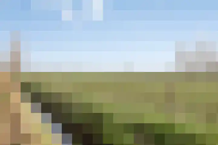 Vierhoven 11 Terheijden thumbnail 47
