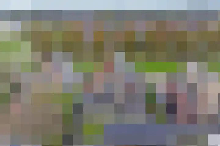 Vierlander 16 Dronten