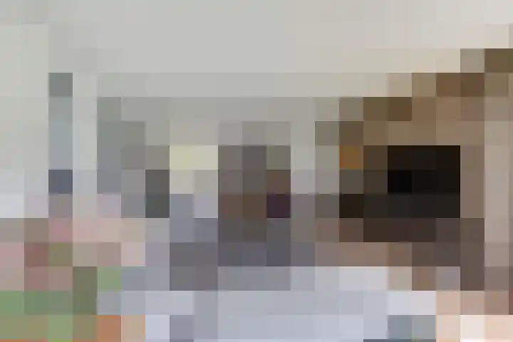 Vierlander 16 Dronten thumbnail 10