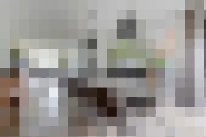 Vierlander 16 Dronten thumbnail 13