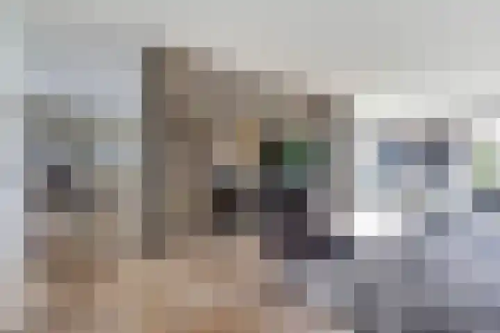 Vierlander 16 Dronten thumbnail 15