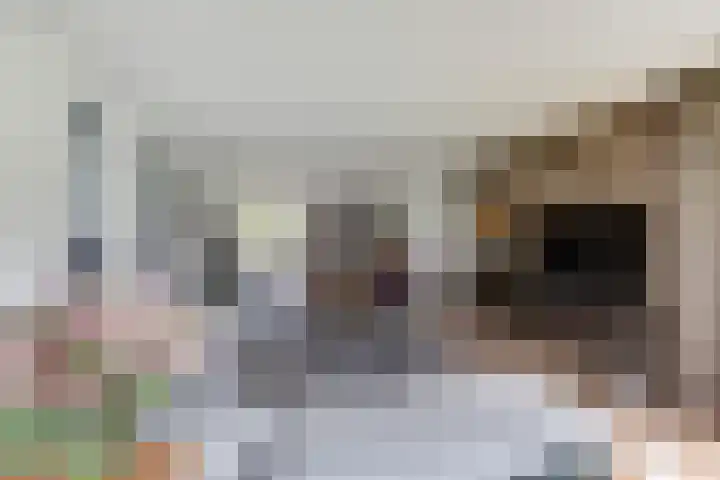 Vierlander 16 Dronten foto 3