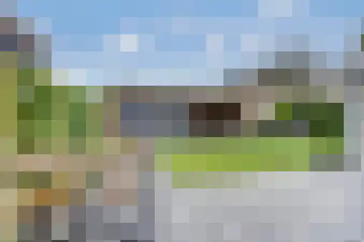 Vierlander 16 Dronten thumbnail 38