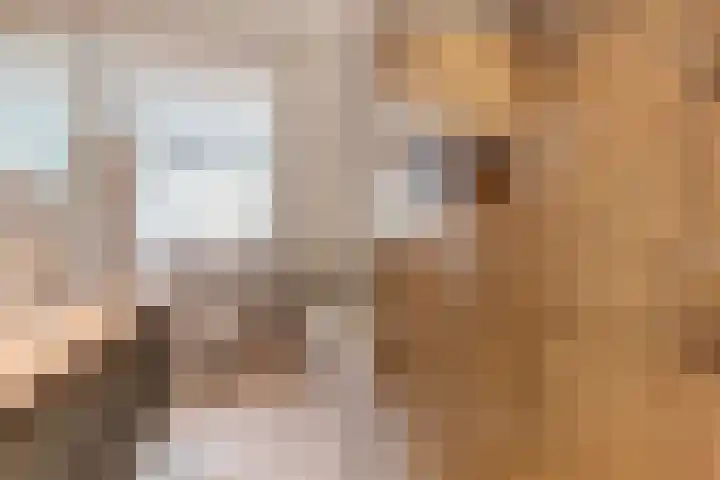 Vierlander 16 Dronten thumbnail 4