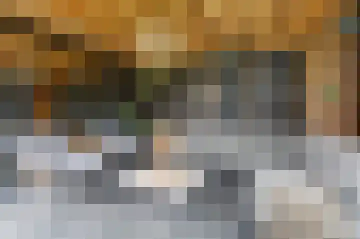 Vierlander 16 Dronten thumbnail 40