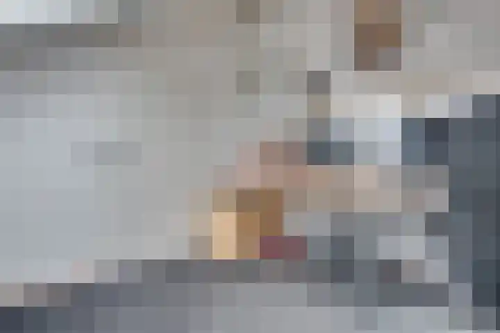 Vierlanderstraat 2 's-Hertogenbosch thumbnail 20