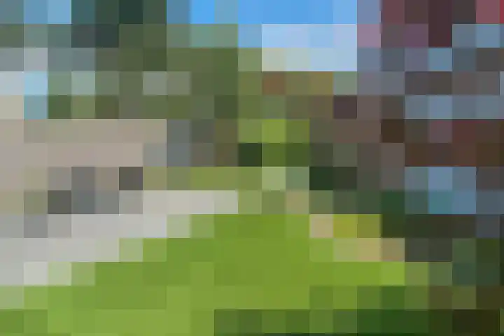 Vierlanderstraat 2 's-Hertogenbosch thumbnail 23