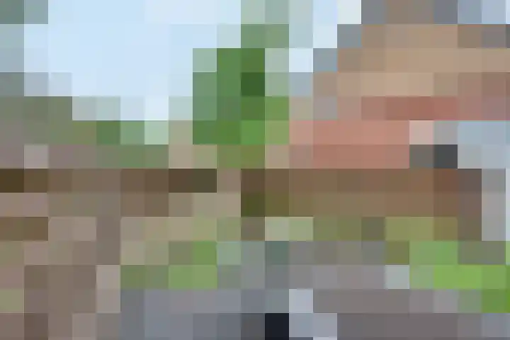 Vierlanderstraat 2 's-Hertogenbosch thumbnail 26