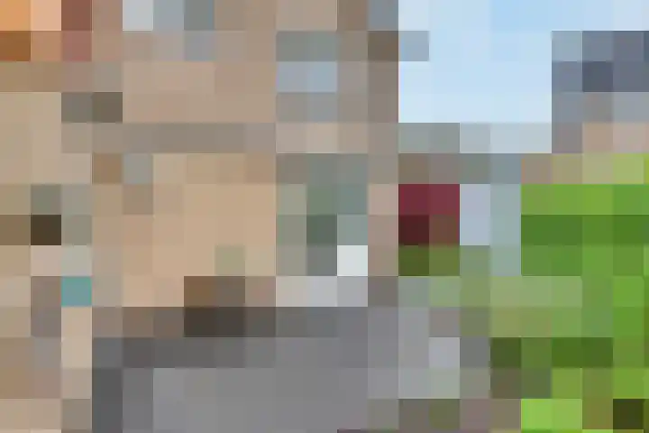 Vierlanderstraat 2 's-Hertogenbosch thumbnail 29