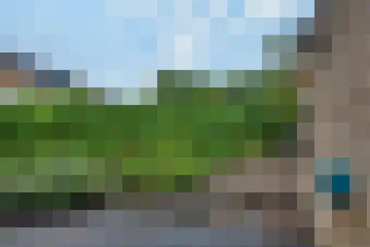 Vierlanderstraat 2 's-Hertogenbosch thumbnail 30