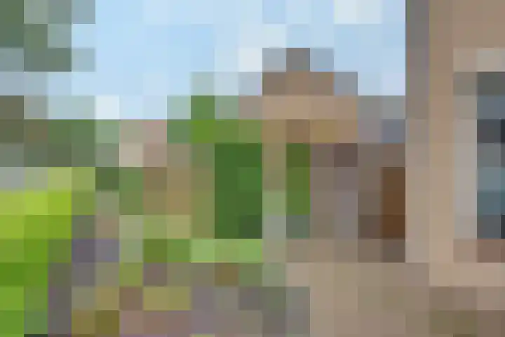Vierlanderstraat 2 's-Hertogenbosch thumbnail 32