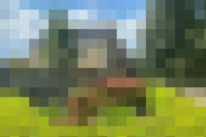 Vierlanderstraat 2 's-Hertogenbosch thumbnail 33
