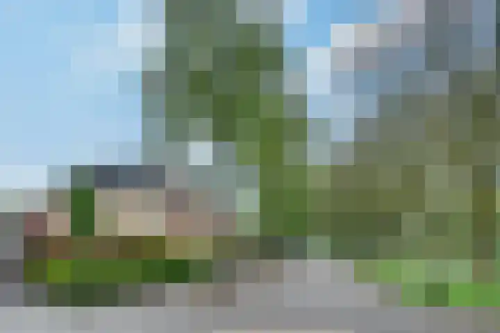 Vierlanderstraat 2 's-Hertogenbosch thumbnail 34