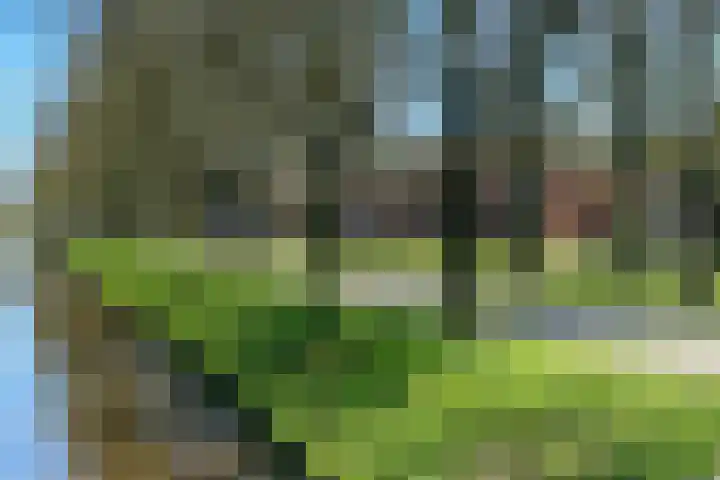 Vierlanderstraat 2 's-Hertogenbosch thumbnail 39