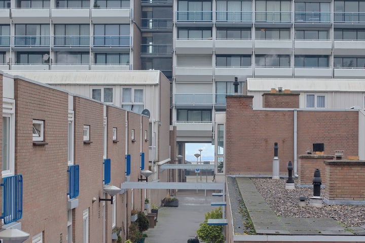 Vierloper 53 in 's-Gravenhage foto