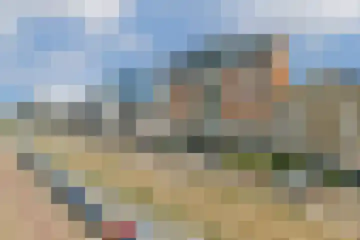 Vierloper 55 Den Haag thumbnail 16