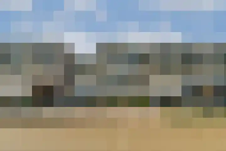 Vierloper 55 Den Haag thumbnail 5