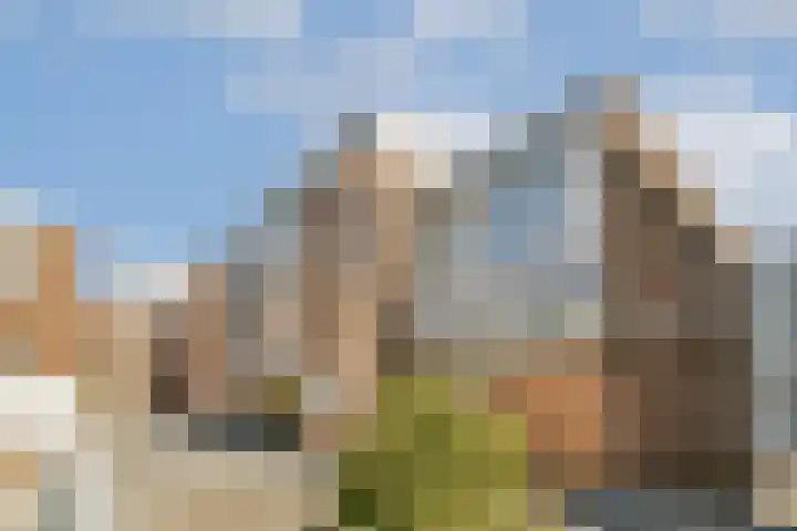 Vierloper 55 Den Haag thumbnail 6