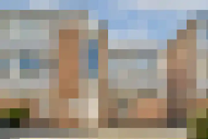 Vierloper 55 Den Haag thumbnail 7
