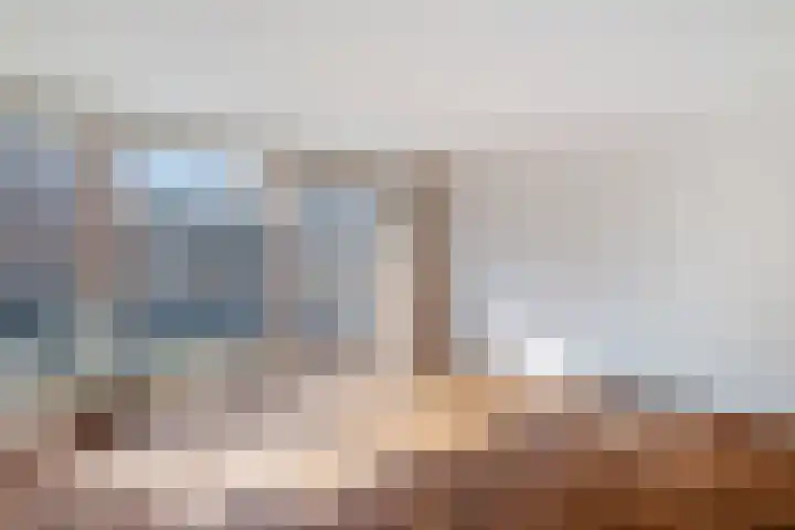 Vierloper 77 Den Haag thumbnail 11