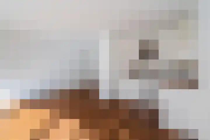 Vierloper 77 Den Haag thumbnail 16