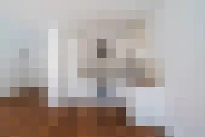 Vierloper 77 Den Haag thumbnail 17