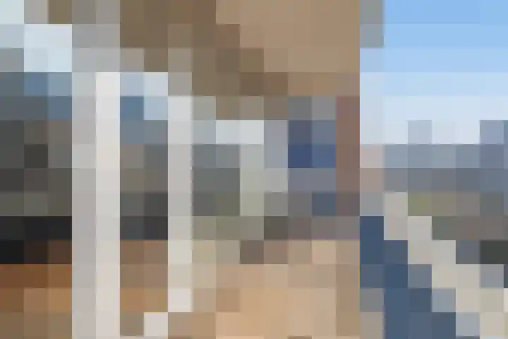 Vierloper 77 Den Haag thumbnail 19